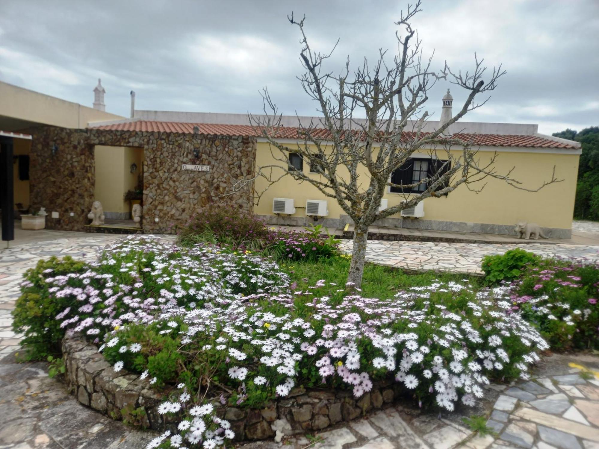Quinta Das Aves Guest House Lagos Exterior photo